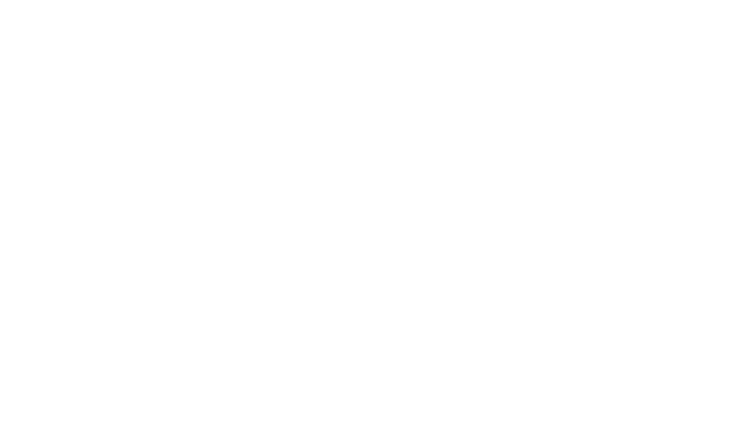 Allioz-Flow_Logo-blanc